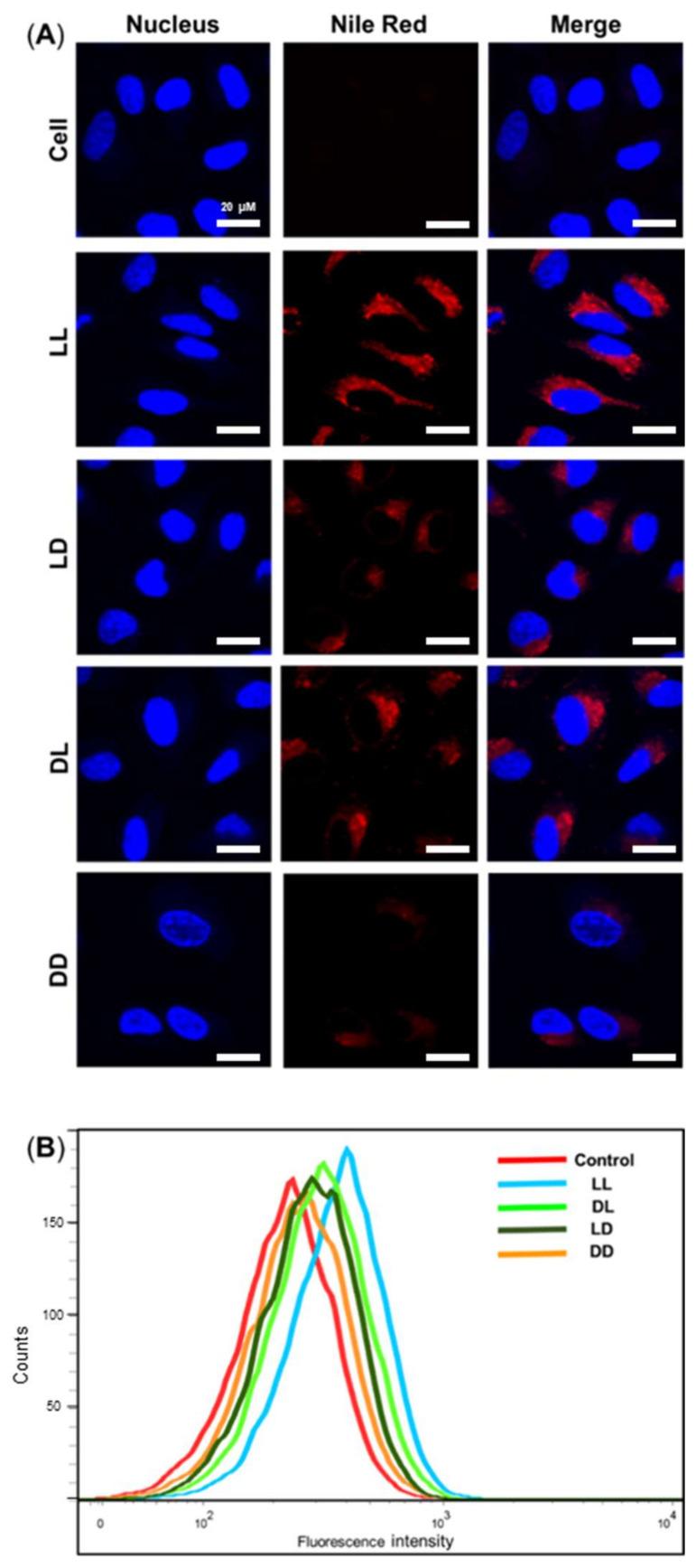 https://cdn.ncbi.nlm.nih.gov/pmc/blobs/6f01/8779831/0c6665b1f079/pharmaceutics-14-00143-g004.jpg
