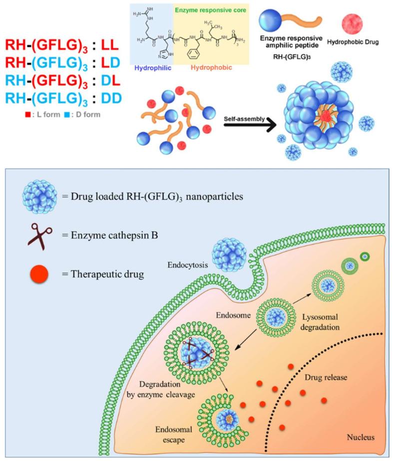 https://cdn.ncbi.nlm.nih.gov/pmc/blobs/6f01/8779831/cd27bbd7a379/pharmaceutics-14-00143-g001.jpg