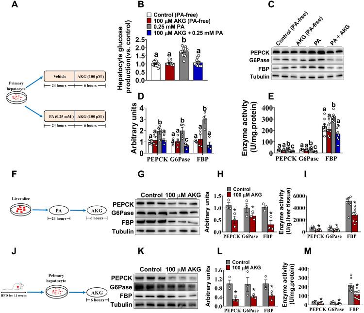 https://cdn.ncbi.nlm.nih.gov/pmc/blobs/6f03/9067931/85ea4bf5a433/sciadv.abn2879-f4.jpg