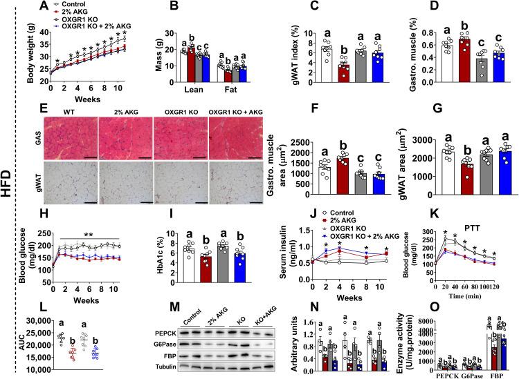 https://cdn.ncbi.nlm.nih.gov/pmc/blobs/6f03/9067931/a6768c370ccc/sciadv.abn2879-f5.jpg