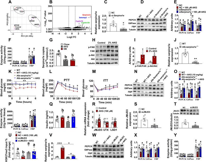 https://cdn.ncbi.nlm.nih.gov/pmc/blobs/6f03/9067931/be459616ea3b/sciadv.abn2879-f6.jpg