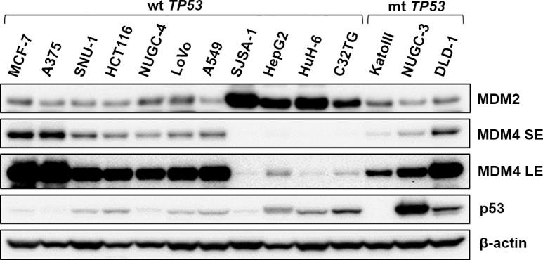https://cdn.ncbi.nlm.nih.gov/pmc/blobs/6f06/4303891/132e3b7c3e49/oncoscience-01-0830-g001.jpg