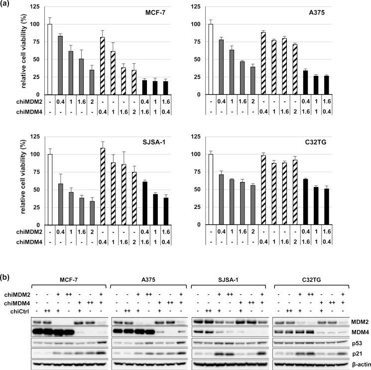 https://cdn.ncbi.nlm.nih.gov/pmc/blobs/6f06/4303891/9ada55604165/oncoscience-01-0830-g007.jpg