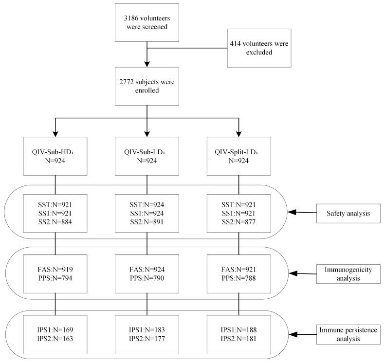 https://cdn.ncbi.nlm.nih.gov/pmc/blobs/6f07/12116156/cbda6eae2173/vaccines-13-00467-g001.jpg