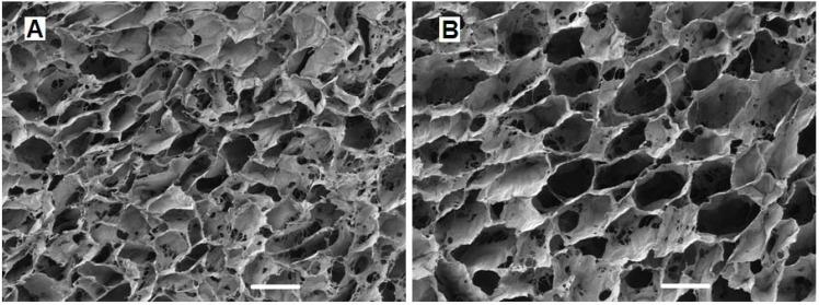 https://cdn.ncbi.nlm.nih.gov/pmc/blobs/6f08/5452095/f39a0b12f29e/materials-06-00637-g003.jpg