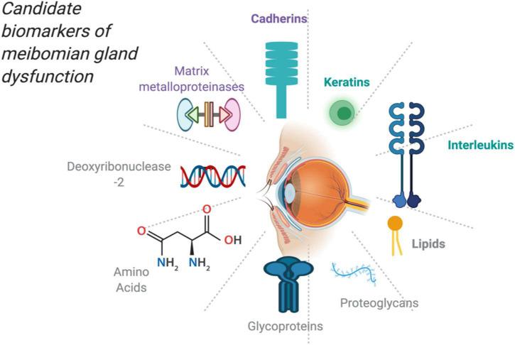 https://cdn.ncbi.nlm.nih.gov/pmc/blobs/6f09/9170961/8a6c8840e1a6/fmed-09-873538-g001.jpg