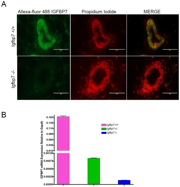 https://cdn.ncbi.nlm.nih.gov/pmc/blobs/6f0a/3913705/d519c6b1246c/pone.0087858.g001.jpg