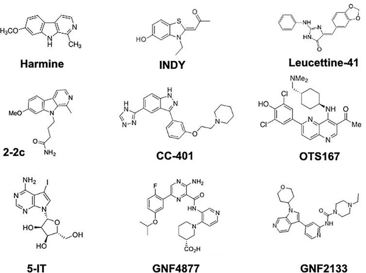 https://cdn.ncbi.nlm.nih.gov/pmc/blobs/6f0b/8322843/0dda8ffd3309/fendo-12-671946-g003.jpg