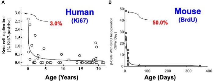 https://cdn.ncbi.nlm.nih.gov/pmc/blobs/6f0b/8322843/970e0ca2508e/fendo-12-671946-g002.jpg