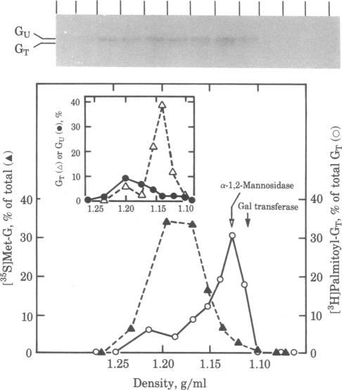 https://cdn.ncbi.nlm.nih.gov/pmc/blobs/6f0c/349286/4ac2c5be3bb8/pnas00663-0249-a.jpg