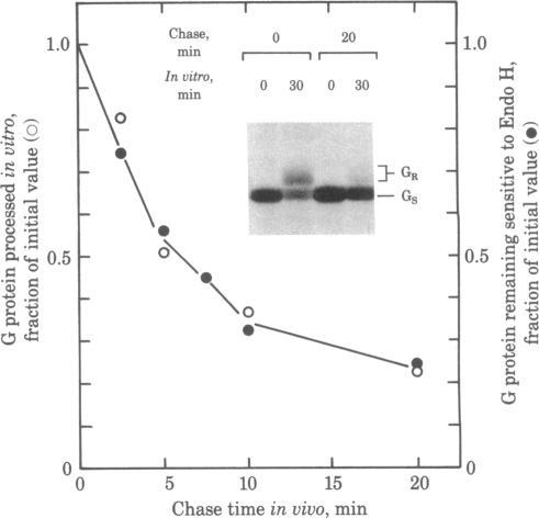 https://cdn.ncbi.nlm.nih.gov/pmc/blobs/6f0c/349286/d0373c6b5ca8/pnas00663-0249-b.jpg