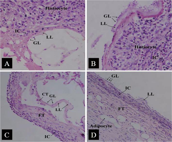https://cdn.ncbi.nlm.nih.gov/pmc/blobs/6f0e/4564103/bbf78241fabf/pntd.0003950.g003.jpg