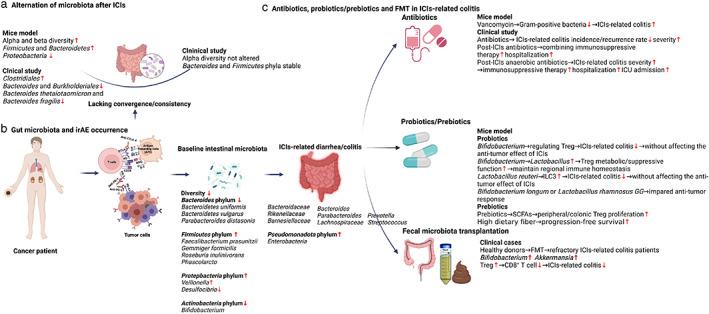 https://cdn.ncbi.nlm.nih.gov/pmc/blobs/6f0f/9527168/836dc6f333cf/TCA-13-2681-g001.jpg