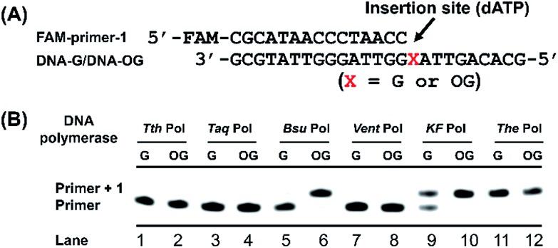 https://cdn.ncbi.nlm.nih.gov/pmc/blobs/6f10/6460952/888692cfcaf0/c8sc04946g-f2.jpg