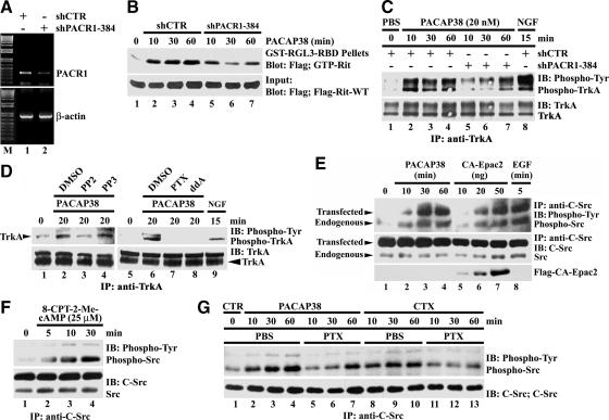https://cdn.ncbi.nlm.nih.gov/pmc/blobs/6f11/2861617/91f86ae2cbd8/zmk0091094280004.jpg