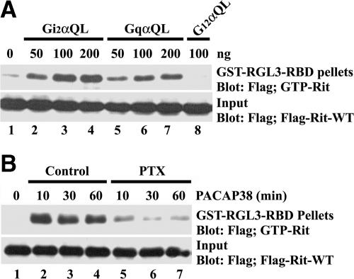 https://cdn.ncbi.nlm.nih.gov/pmc/blobs/6f11/2861617/f8e66b82abce/zmk0091094280001.jpg