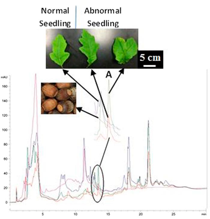 https://cdn.ncbi.nlm.nih.gov/pmc/blobs/6f11/4937345/e75030892495/srep29315-f4.jpg