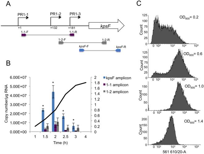 https://cdn.ncbi.nlm.nih.gov/pmc/blobs/6f12/5738388/cd6b5c8000a3/41598_2017_17891_Fig2_HTML.jpg