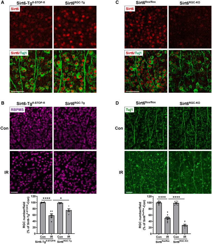 https://cdn.ncbi.nlm.nih.gov/pmc/blobs/6f13/11184404/34a9c7322f7a/gr6.jpg