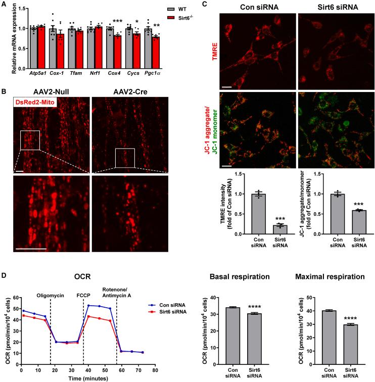 https://cdn.ncbi.nlm.nih.gov/pmc/blobs/6f13/11184404/4db527a69bd7/gr4.jpg