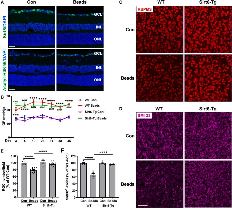 https://cdn.ncbi.nlm.nih.gov/pmc/blobs/6f13/11184404/60b2dcc6807d/gr7.jpg
