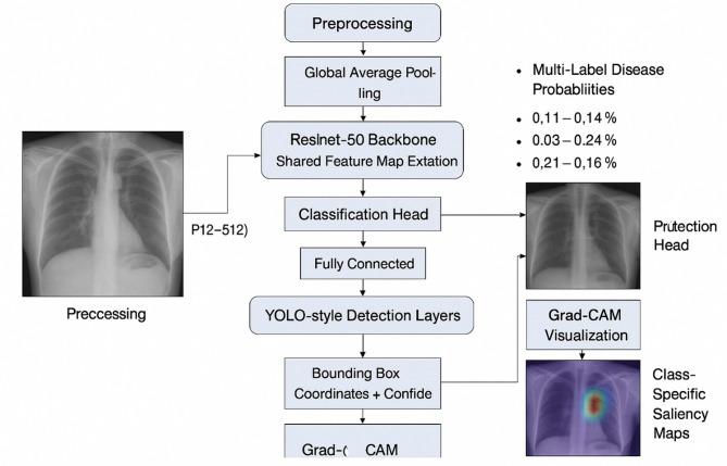 https://cdn.ncbi.nlm.nih.gov/pmc/blobs/6f13/12399747/2e0866dddd5d/41598_2025_16669_Fig1_HTML.jpg