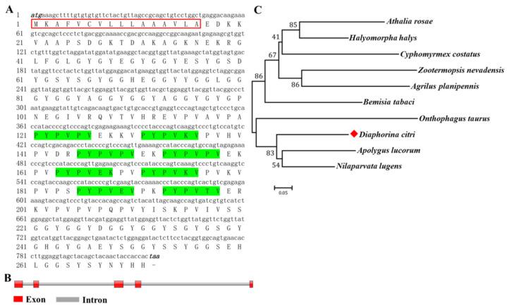 https://cdn.ncbi.nlm.nih.gov/pmc/blobs/6f14/9027310/27ac74e963d9/insects-13-00353-g002.jpg