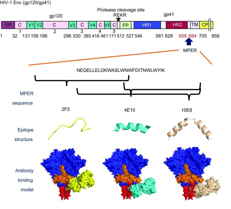 https://cdn.ncbi.nlm.nih.gov/pmc/blobs/6f15/6019655/6382b13dc3a0/13238_2018_534_Fig1_HTML.jpg