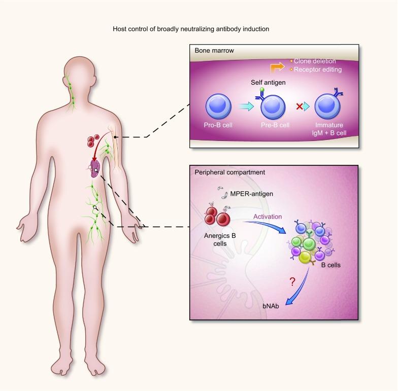 https://cdn.ncbi.nlm.nih.gov/pmc/blobs/6f15/6019655/64807373195d/13238_2018_534_Fig2_HTML.jpg