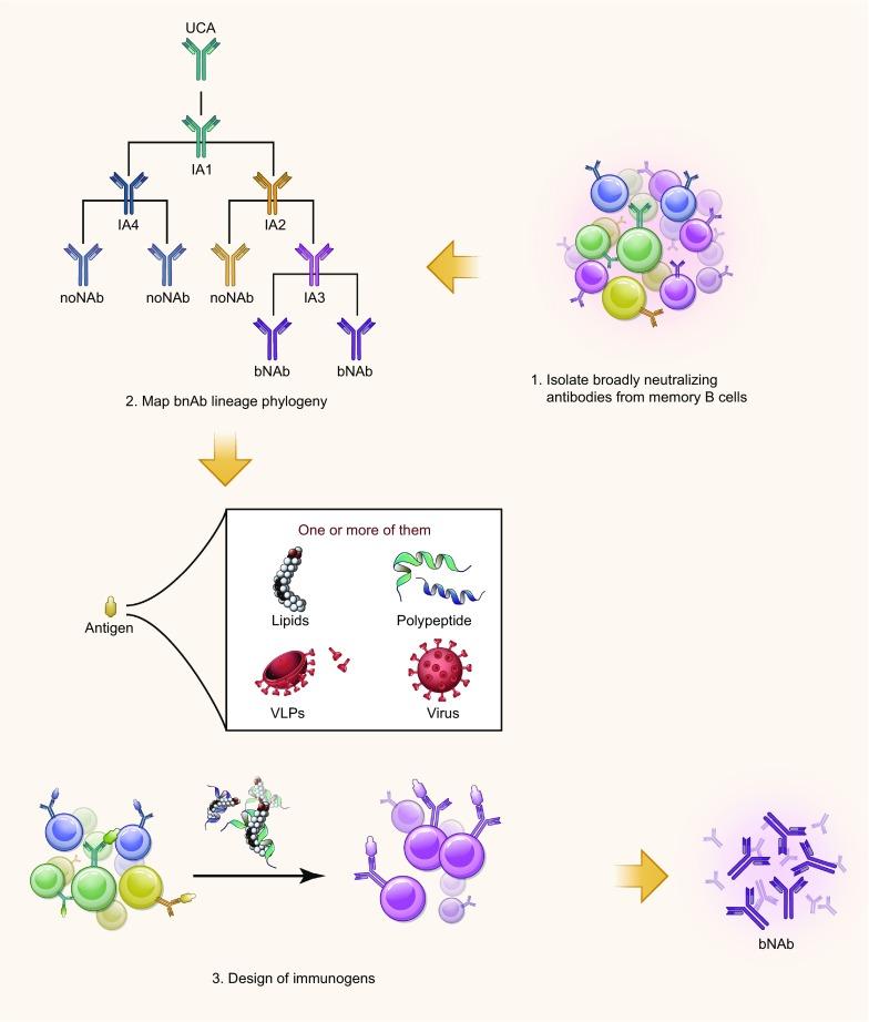 https://cdn.ncbi.nlm.nih.gov/pmc/blobs/6f15/6019655/721848c5d4ca/13238_2018_534_Fig3_HTML.jpg