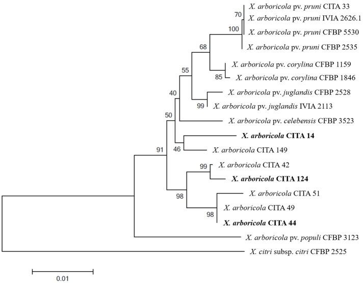 https://cdn.ncbi.nlm.nih.gov/pmc/blobs/6f16/5389983/b8e3cf42ca69/fmicb-08-00573-g0001.jpg