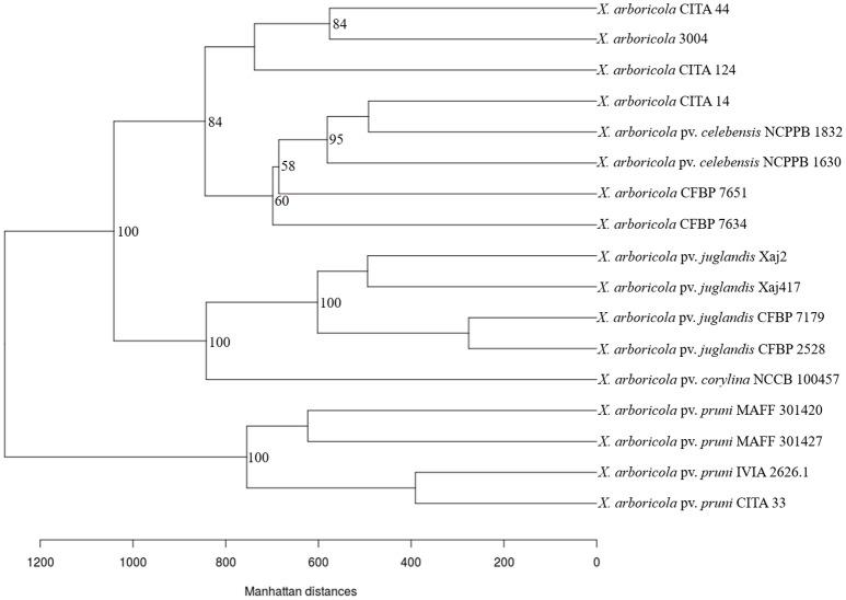 https://cdn.ncbi.nlm.nih.gov/pmc/blobs/6f16/5389983/ee4f69a3af47/fmicb-08-00573-g0004.jpg