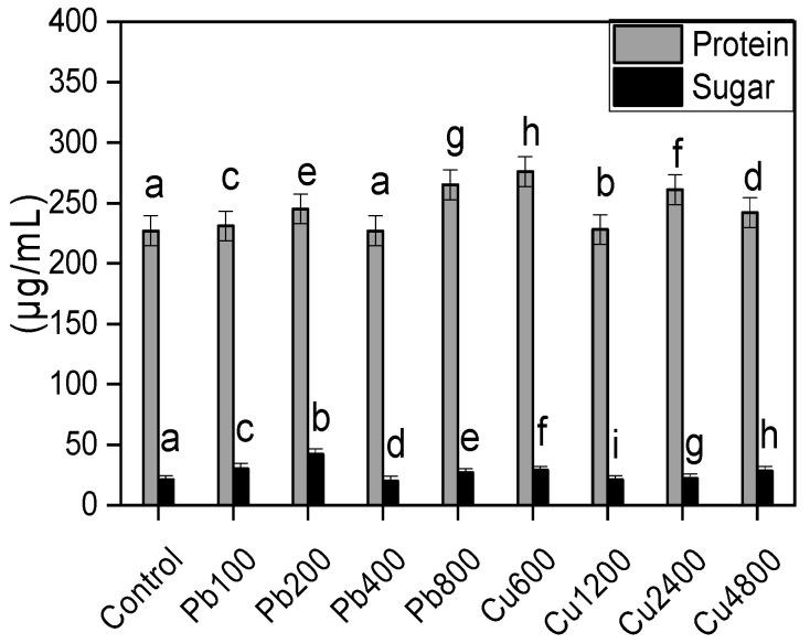 https://cdn.ncbi.nlm.nih.gov/pmc/blobs/6f18/11435276/3e422dac9d4b/plants-13-02643-g003.jpg