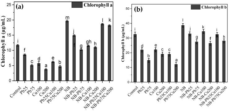 https://cdn.ncbi.nlm.nih.gov/pmc/blobs/6f18/11435276/420fa0c6759a/plants-13-02643-g005.jpg