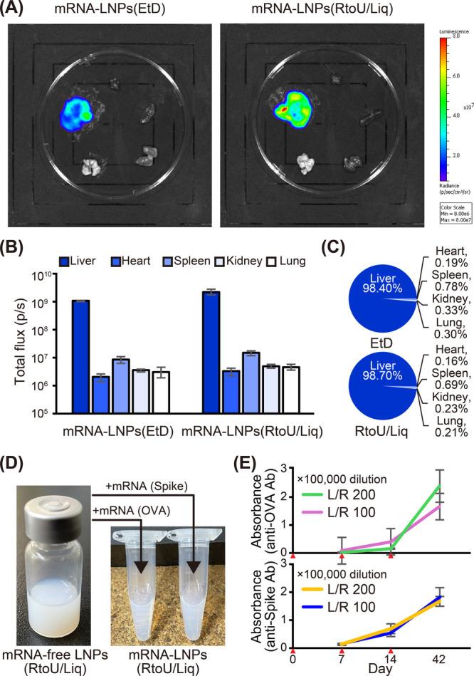 https://cdn.ncbi.nlm.nih.gov/pmc/blobs/6f19/12023019/c501385c7c42/nl4c06643_0003.jpg