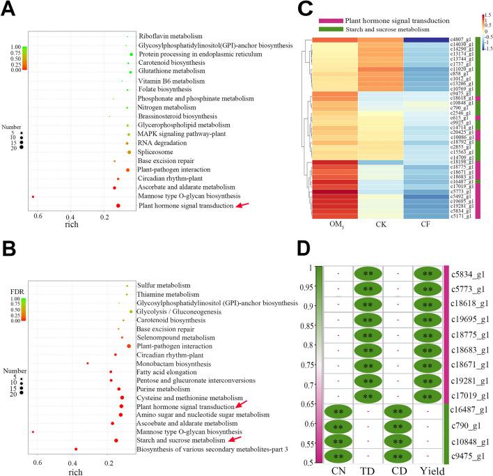 https://cdn.ncbi.nlm.nih.gov/pmc/blobs/6f1a/11148117/00f437042c4b/41598_2024_63564_Fig3_HTML.jpg