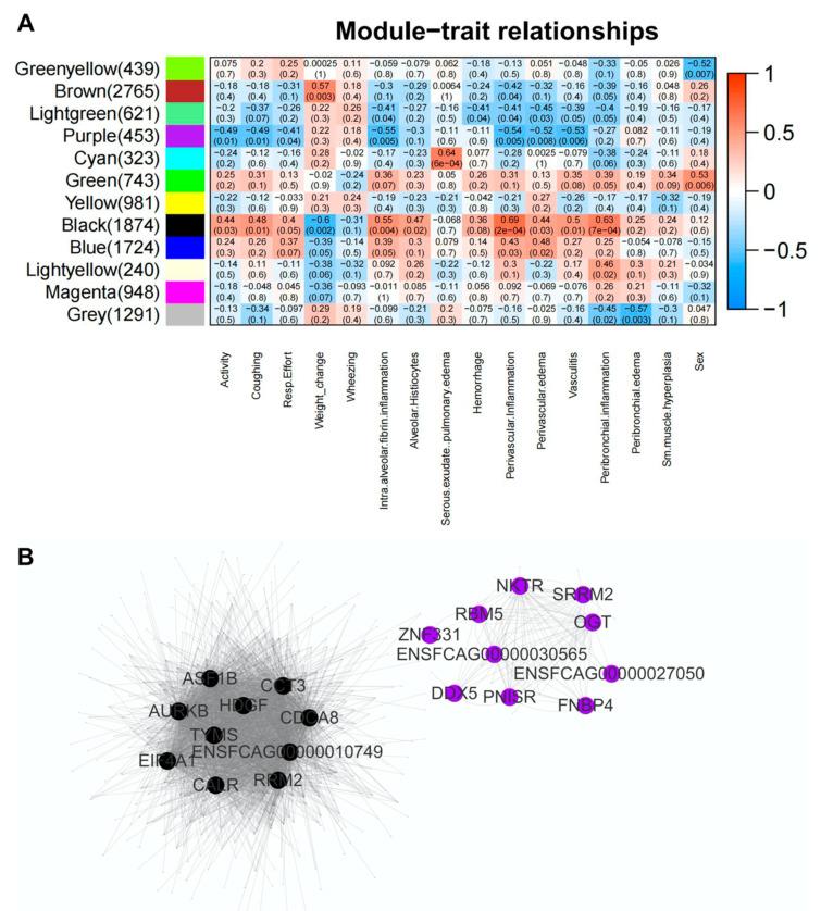 https://cdn.ncbi.nlm.nih.gov/pmc/blobs/6f1b/9230585/79558b1b8282/viruses-14-01207-g008.jpg