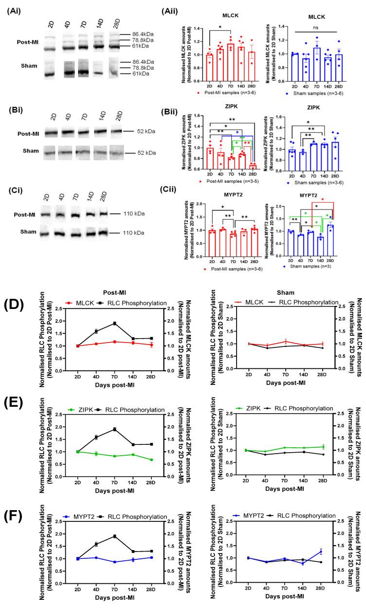 https://cdn.ncbi.nlm.nih.gov/pmc/blobs/6f1c/8745055/04067b0d6606/ijms-23-00088-g006.jpg