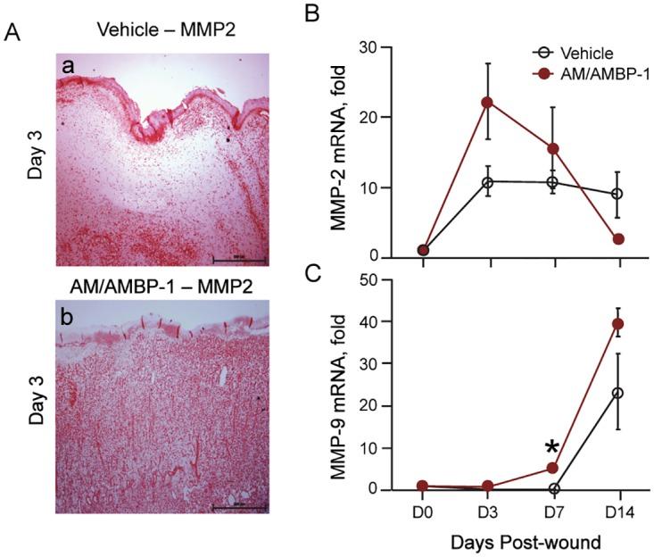 https://cdn.ncbi.nlm.nih.gov/pmc/blobs/6f1d/4363560/205d253e7777/pone.0120225.g006.jpg