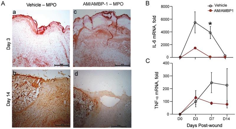 https://cdn.ncbi.nlm.nih.gov/pmc/blobs/6f1d/4363560/b592c86b3c3f/pone.0120225.g002.jpg