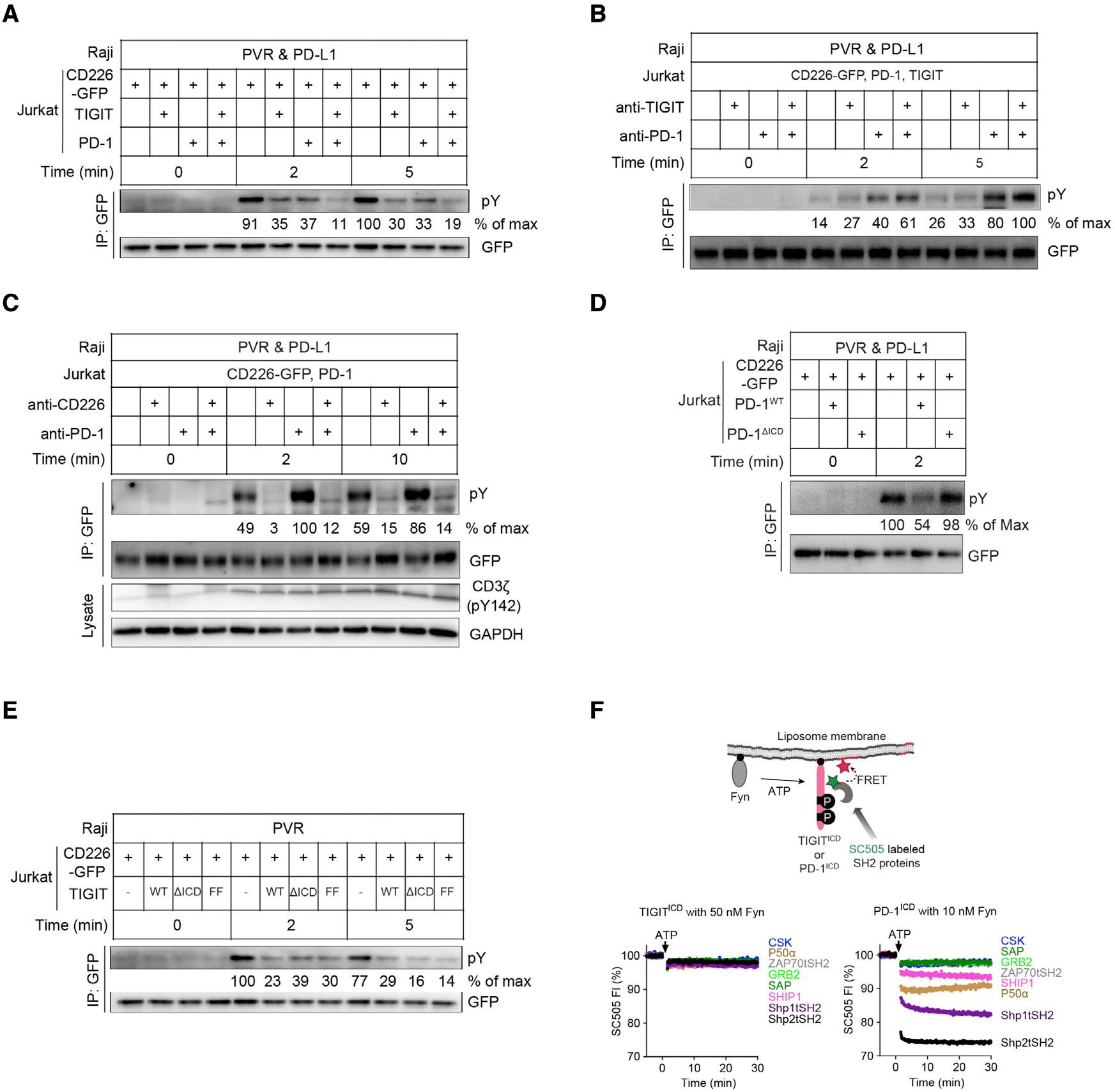 https://cdn.ncbi.nlm.nih.gov/pmc/blobs/6f1f/9287124/a9a81f9aadb0/nihms-1820604-f0006.jpg
