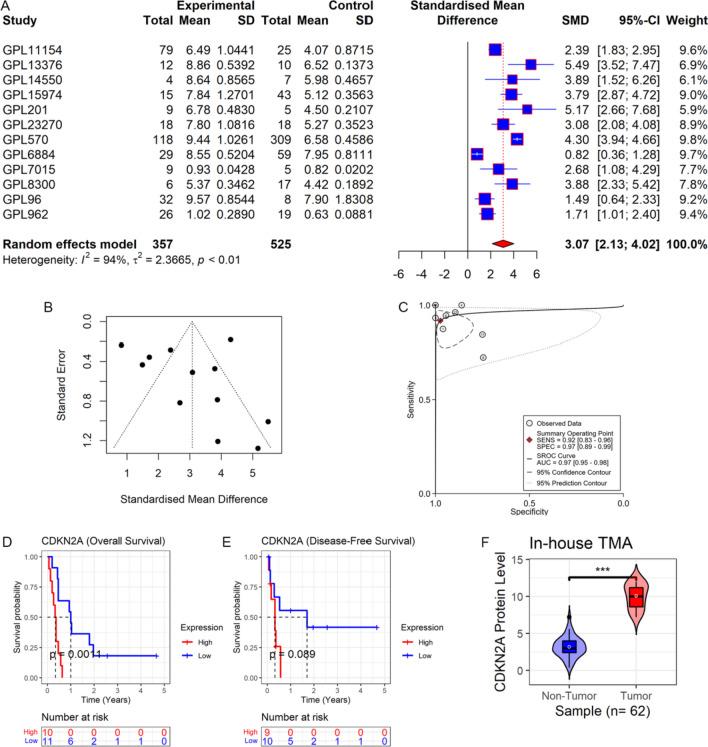 https://cdn.ncbi.nlm.nih.gov/pmc/blobs/6f20/11108933/0d0377b55b04/12094_2023_3376_Fig2_HTML.jpg
