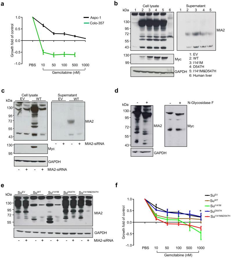 https://cdn.ncbi.nlm.nih.gov/pmc/blobs/6f20/4319175/61ef84746ff4/srep08109-f3.jpg