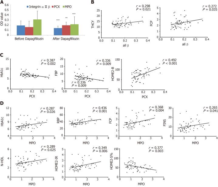 https://cdn.ncbi.nlm.nih.gov/pmc/blobs/6f20/8984562/39b9375b1212/WJD-13-224-g005.jpg
