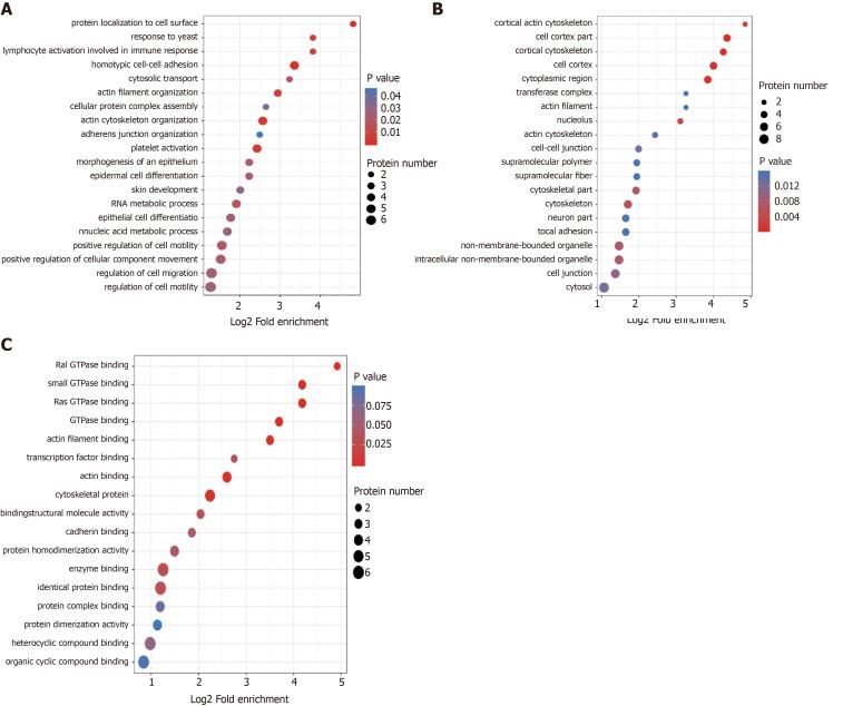 https://cdn.ncbi.nlm.nih.gov/pmc/blobs/6f20/8984562/bca0bcc76fb3/WJD-13-224-g003.jpg