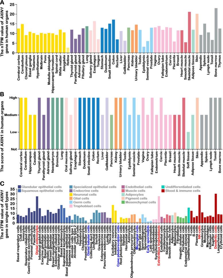 https://cdn.ncbi.nlm.nih.gov/pmc/blobs/6f23/10826278/e04274c9316a/12964_2024_1482_Fig2_HTML.jpg