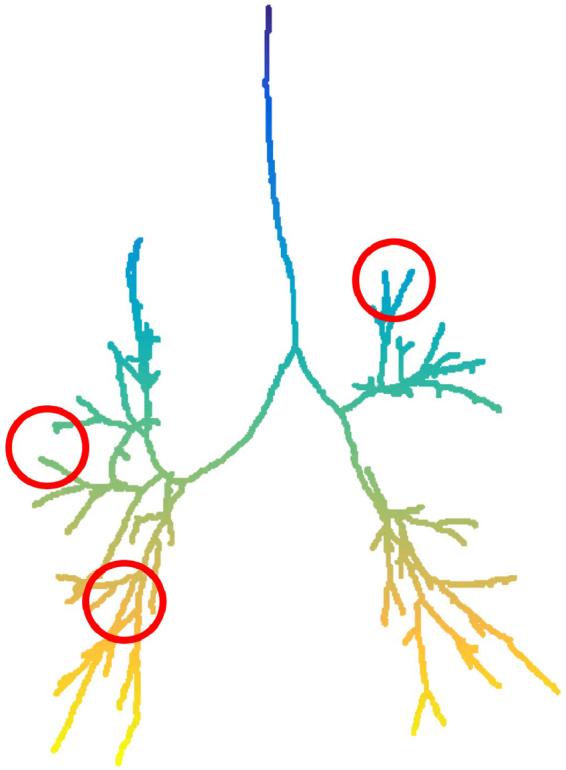 https://cdn.ncbi.nlm.nih.gov/pmc/blobs/6f24/5871819/91606f72a7a9/41598_2018_23424_Fig7_HTML.jpg