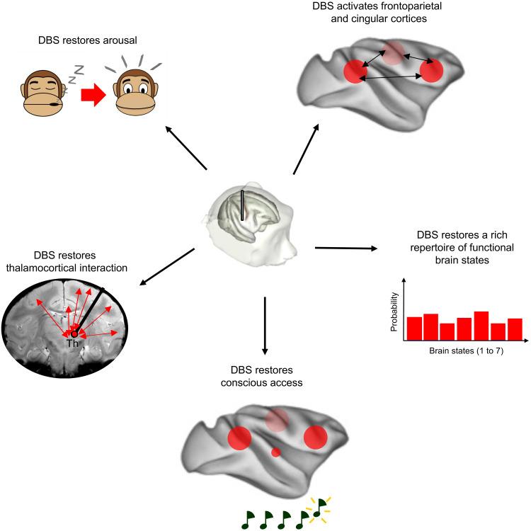 https://cdn.ncbi.nlm.nih.gov/pmc/blobs/6f24/8932660/a40733e31830/sciadv.abl5547-f7.jpg