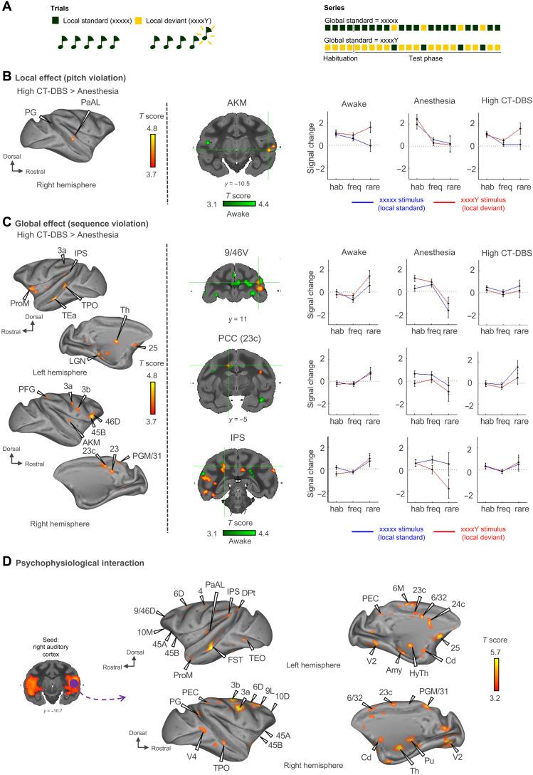 https://cdn.ncbi.nlm.nih.gov/pmc/blobs/6f24/8932660/cbe810021ebe/sciadv.abl5547-f6.jpg