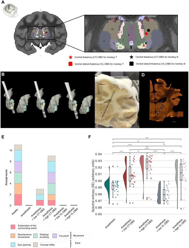 https://cdn.ncbi.nlm.nih.gov/pmc/blobs/6f24/8932660/f034a47e2099/sciadv.abl5547-f2.jpg